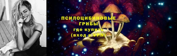 гашик Покачи