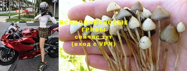 каннабис Абинск