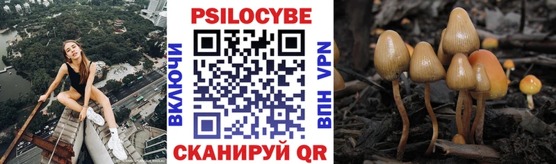 MEGA ТОР  Луга  Псилоцибиновые грибы GOLDEN TEACHER 